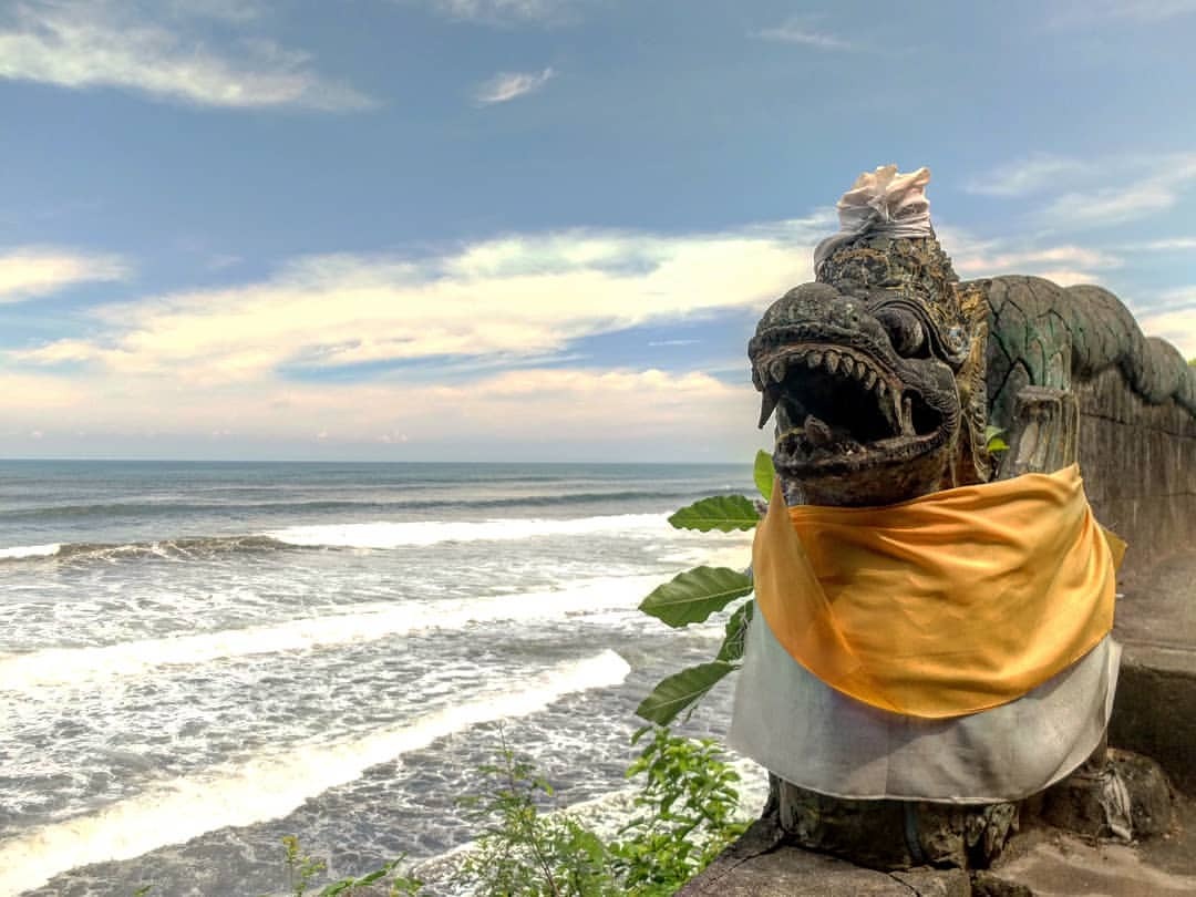Holi sea dragon . . . . . (en Bali, Indonesia)