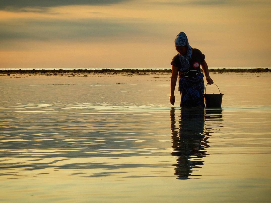 Locals picking up seafood during the low tide in Gili Air. (en Gili Air, Lombok, Indonesia)