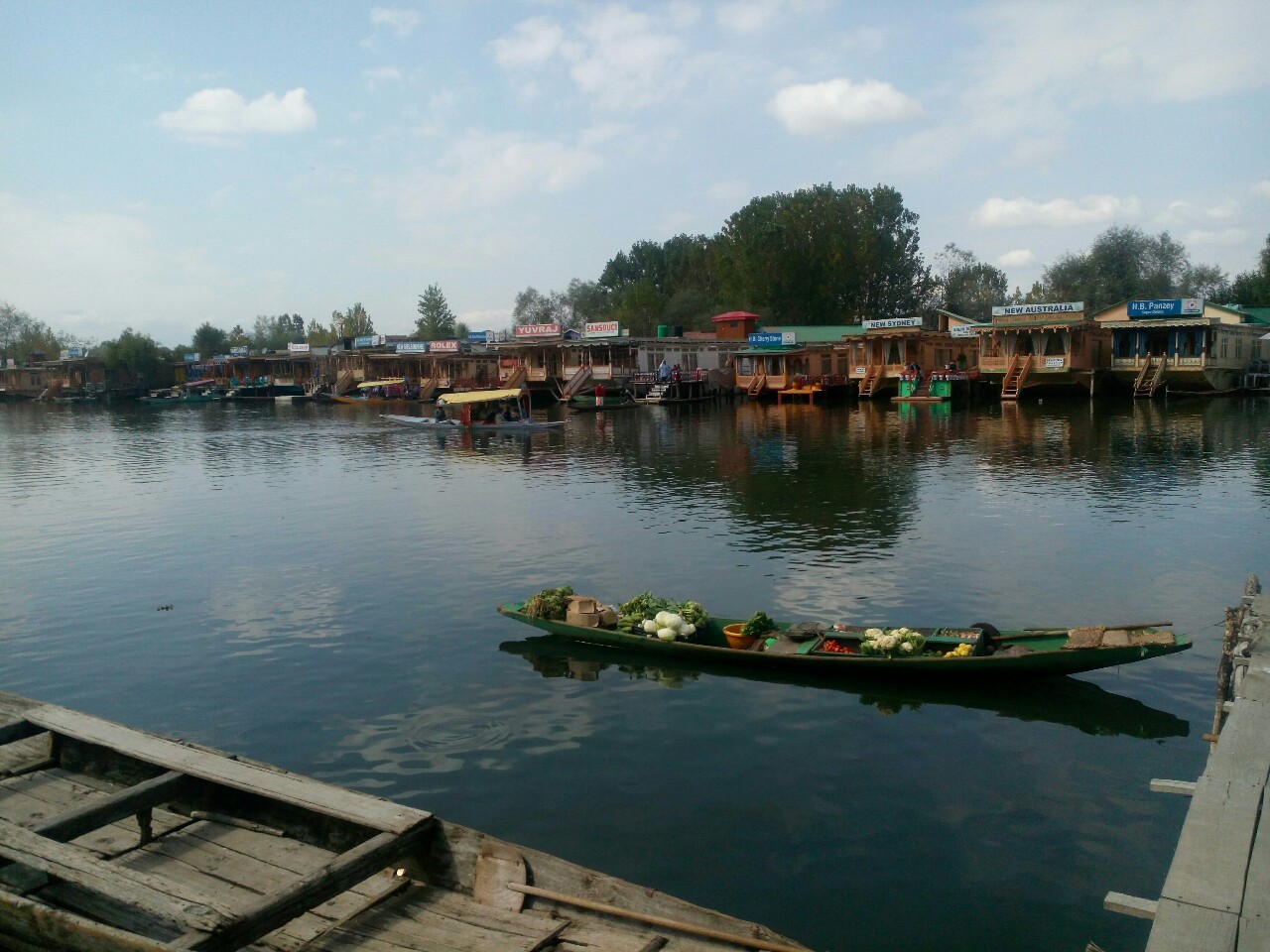 Vegetales shikara