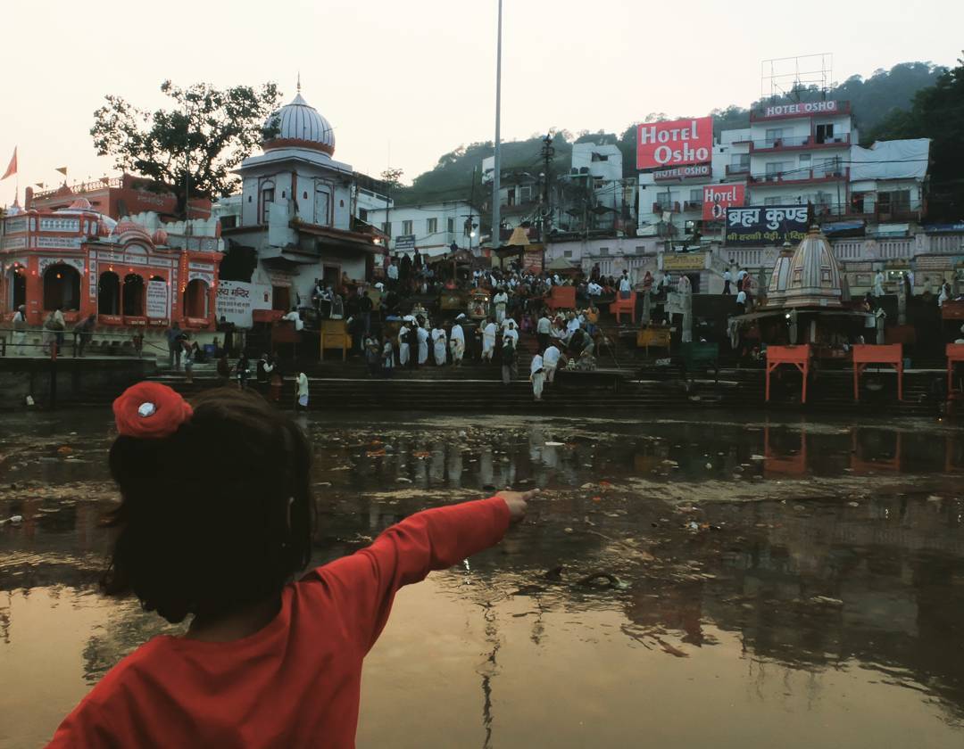 Artie Haridwar